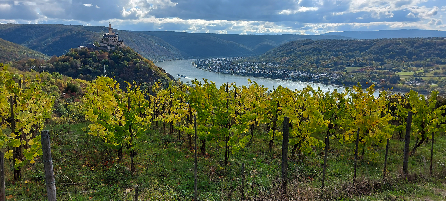 wp-rs-ehrenbreitstein-braubach-marksburg-wingert-spay